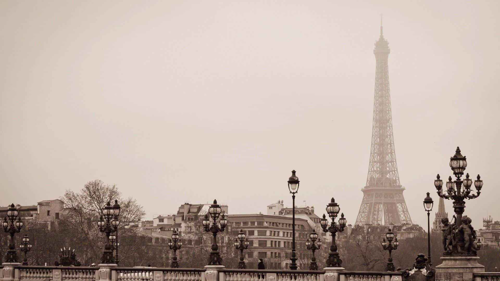 French Eiffel Tower Foggy Picture