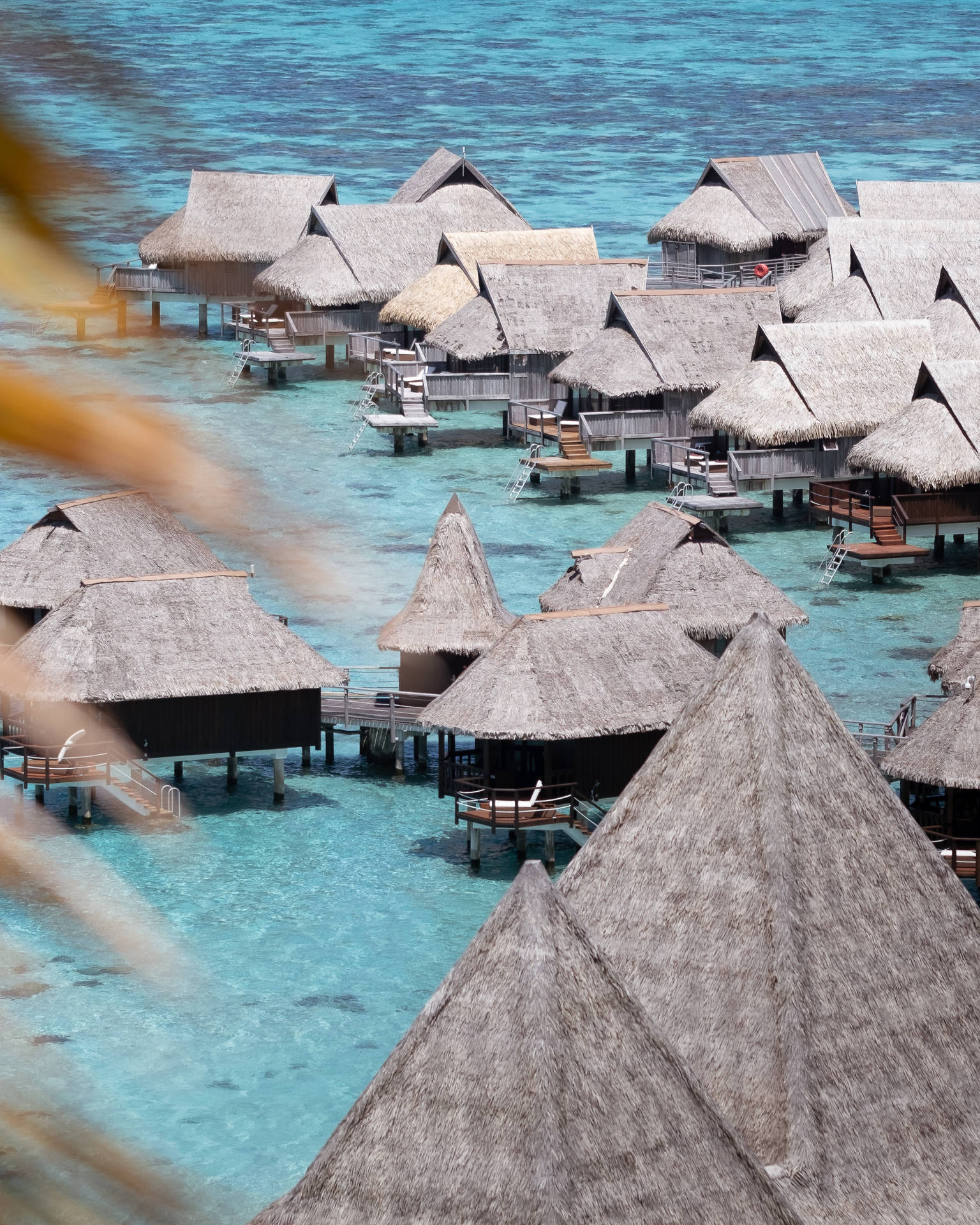 French Polynesia Houses In Ocean