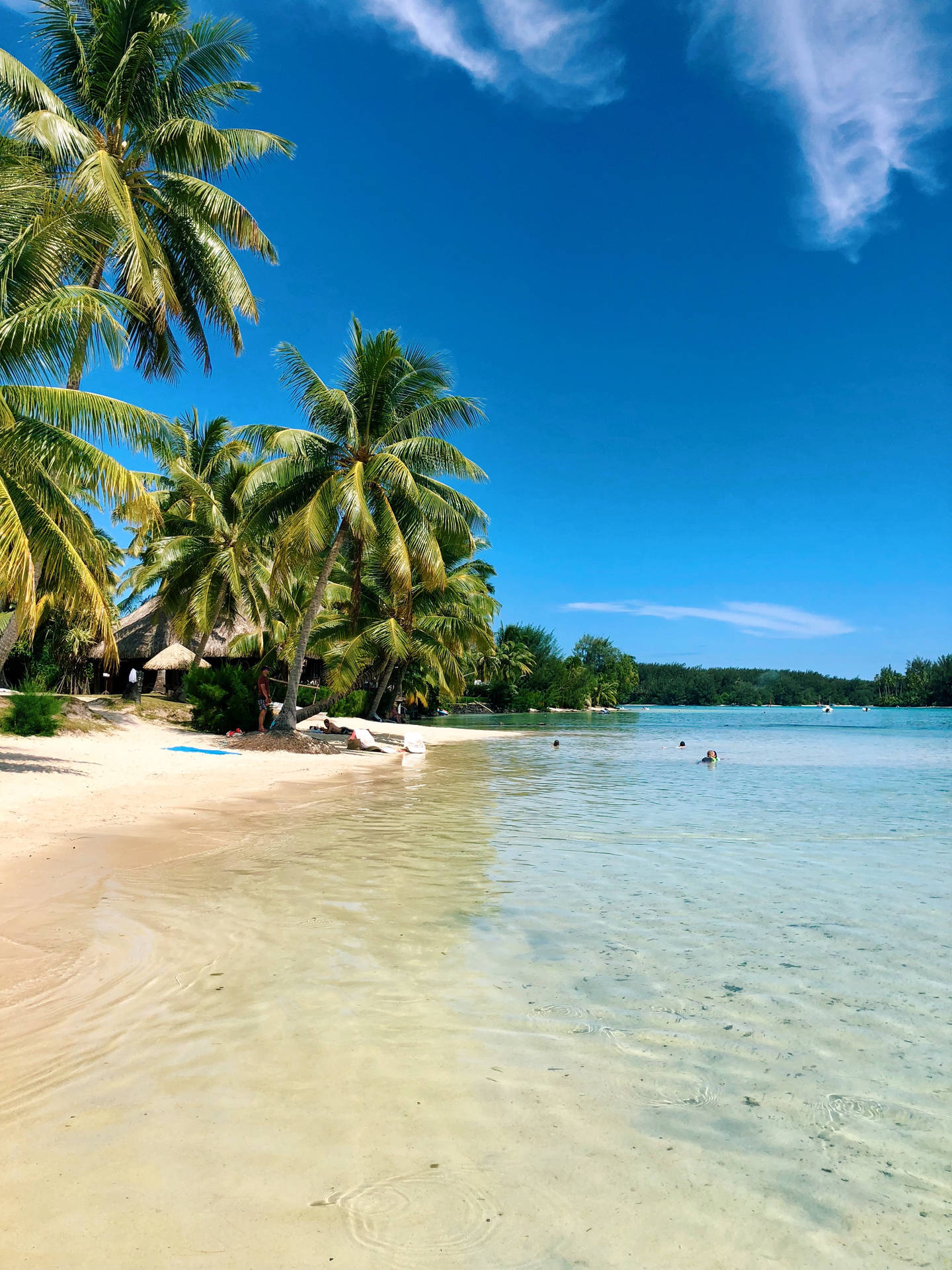 French Polynesia White Sand Beach