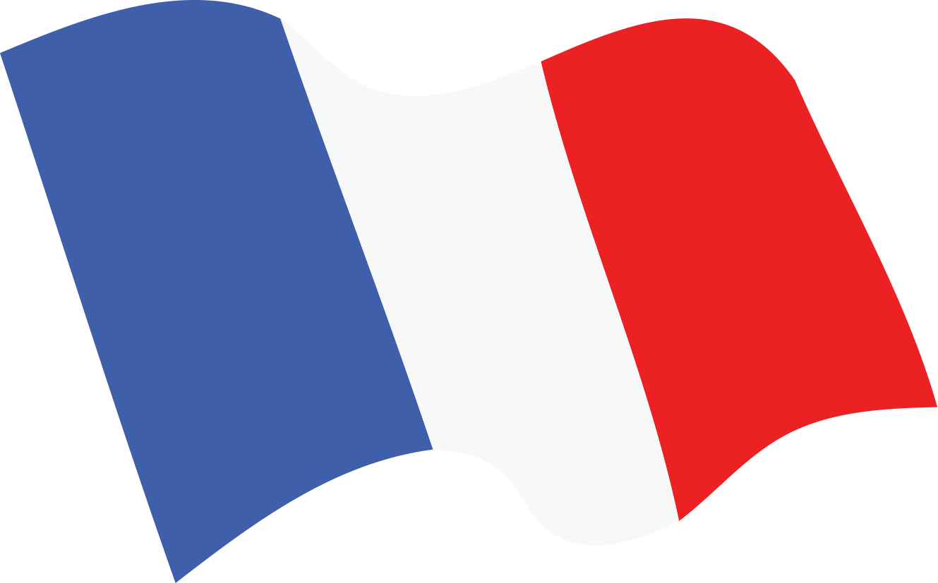 French Tricolor Flag Waving PNG