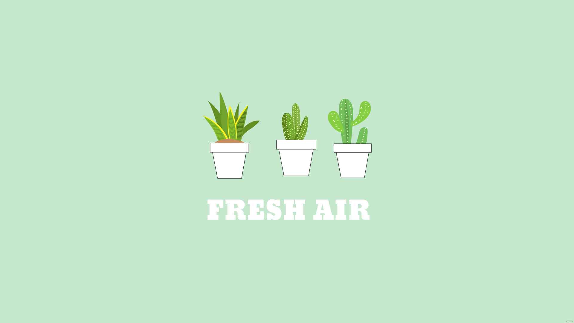 Fresh Air Potted Plants Illustration Wallpaper