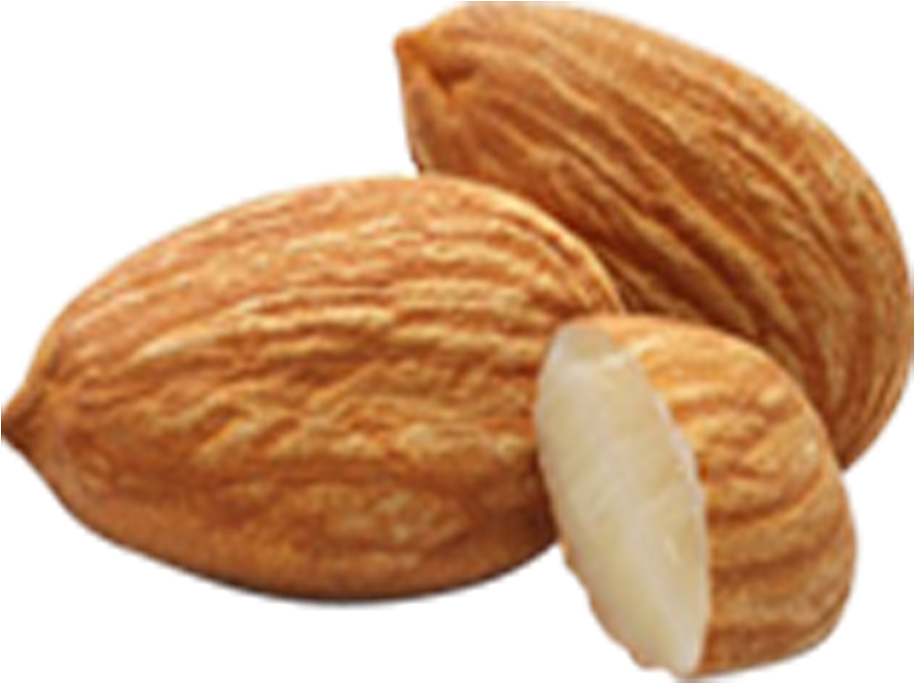 Fresh Almonds Isolatedon Background PNG