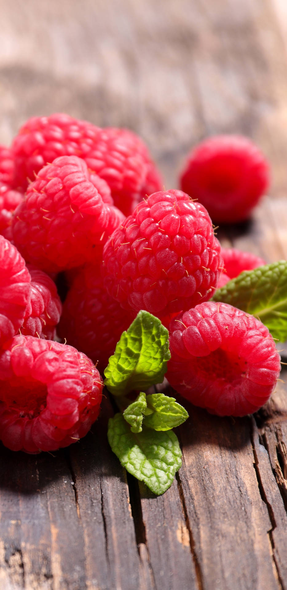 Fresh And Ripe Red Raspberries Wallpaper