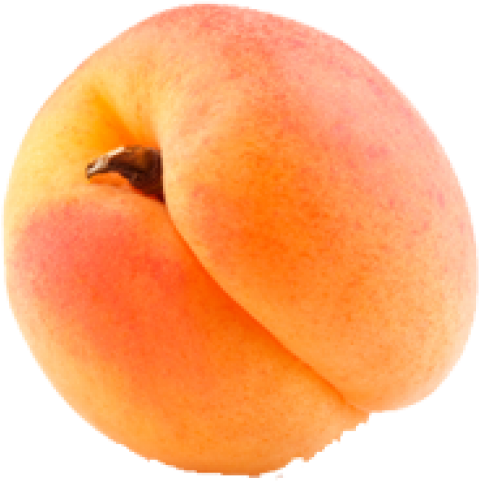 Fresh Apricot Single Fruit PNG