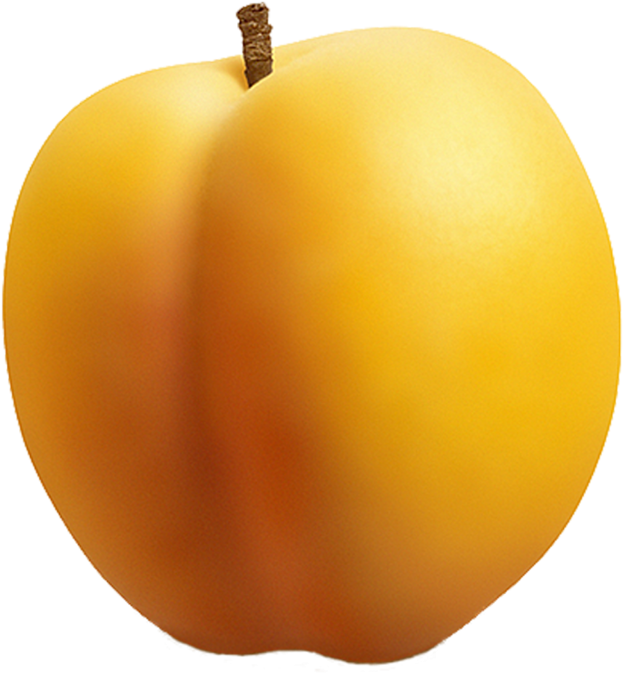 Fresh Apricot Single Fruit PNG