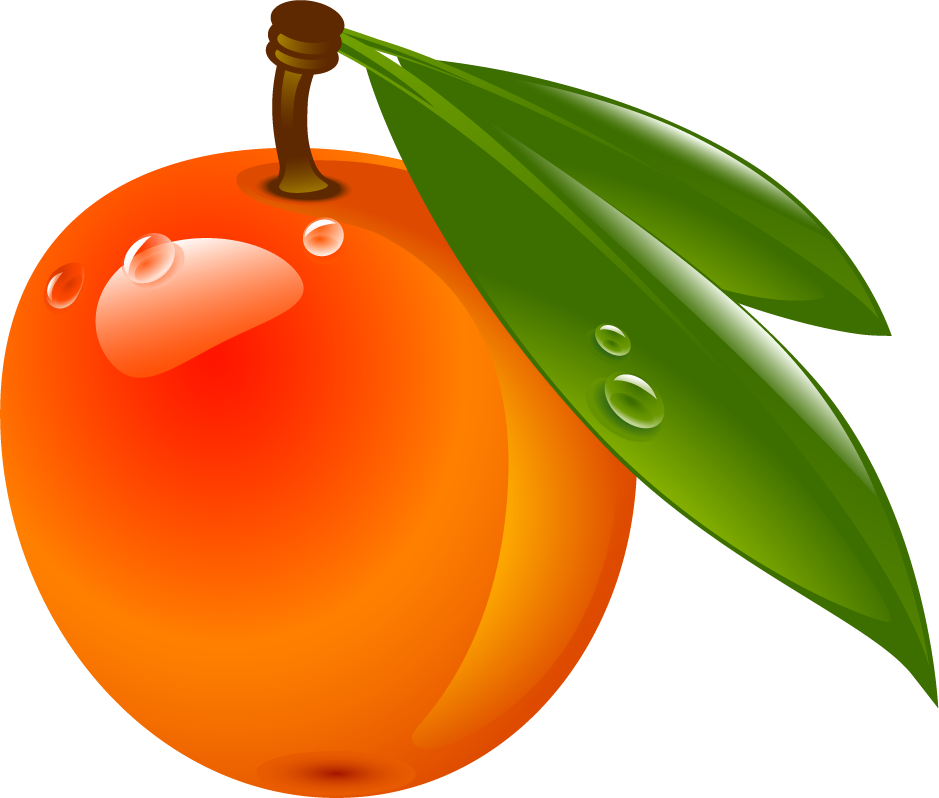 Fresh Apricot With Dew Drops PNG