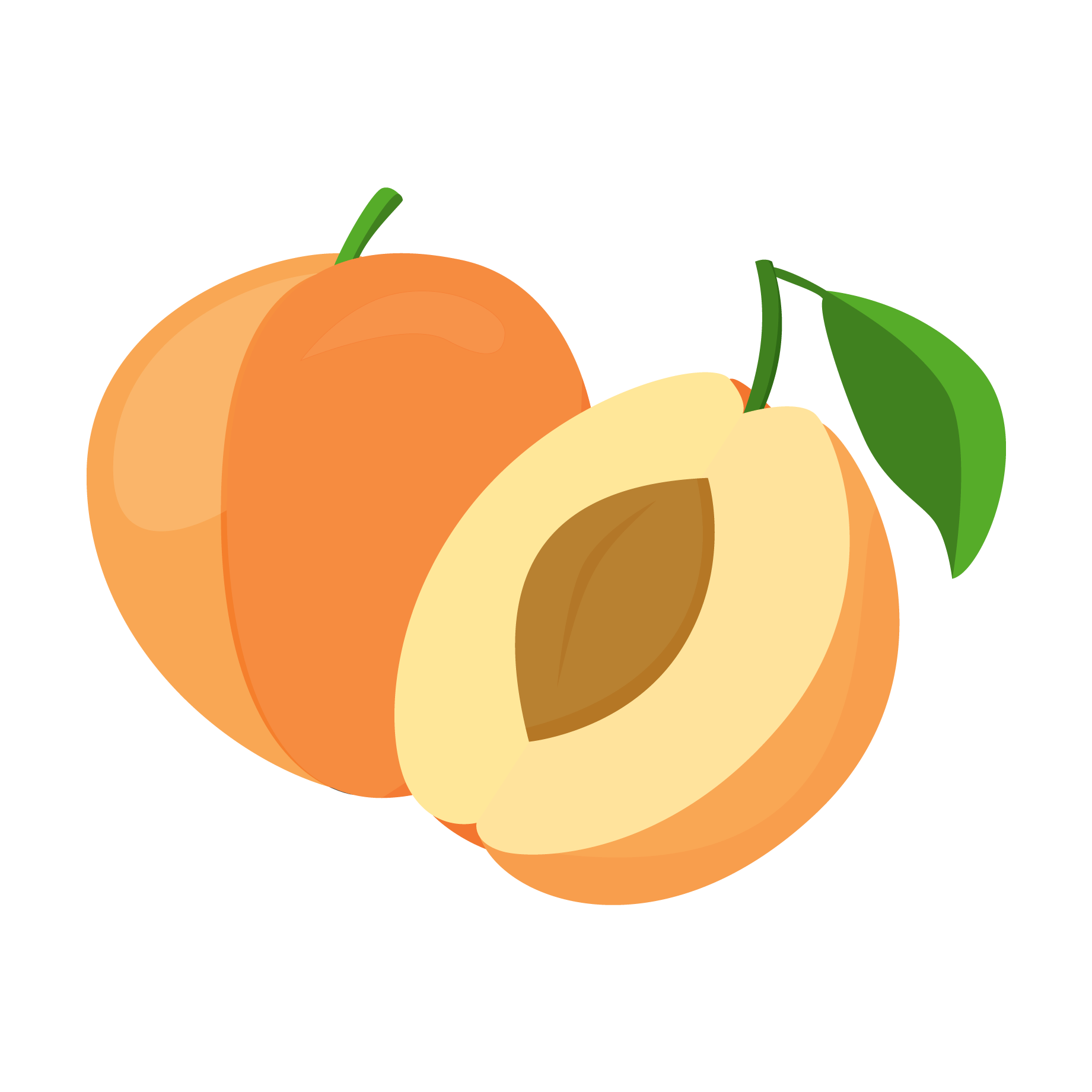 Fresh Apricotand Half Cut Vector PNG