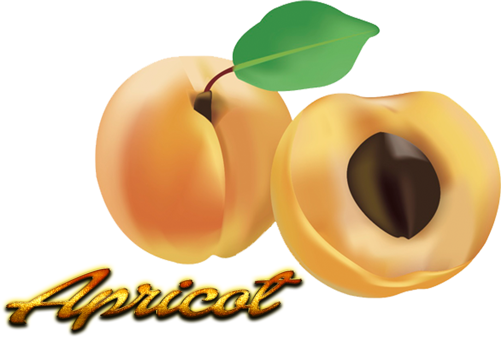 Fresh Apricotand Halfwith Seed PNG