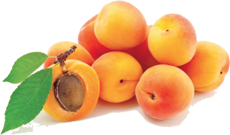 Fresh Apricots Cluster.png PNG