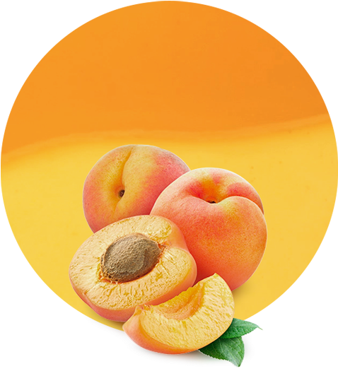 Fresh Apricots Display PNG