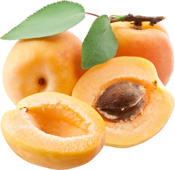 Fresh Apricots Display PNG