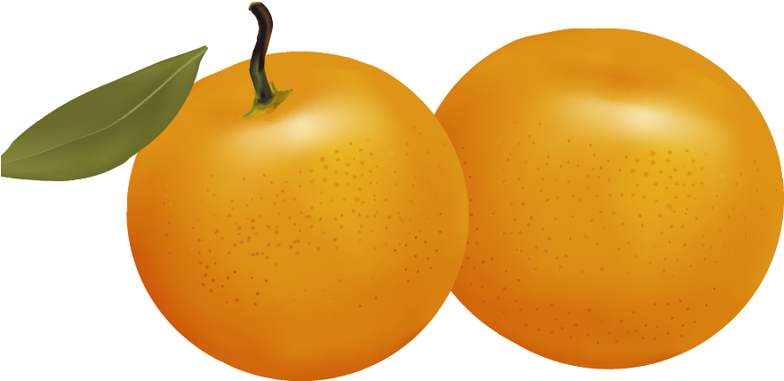 Fresh Apricots Illustration PNG