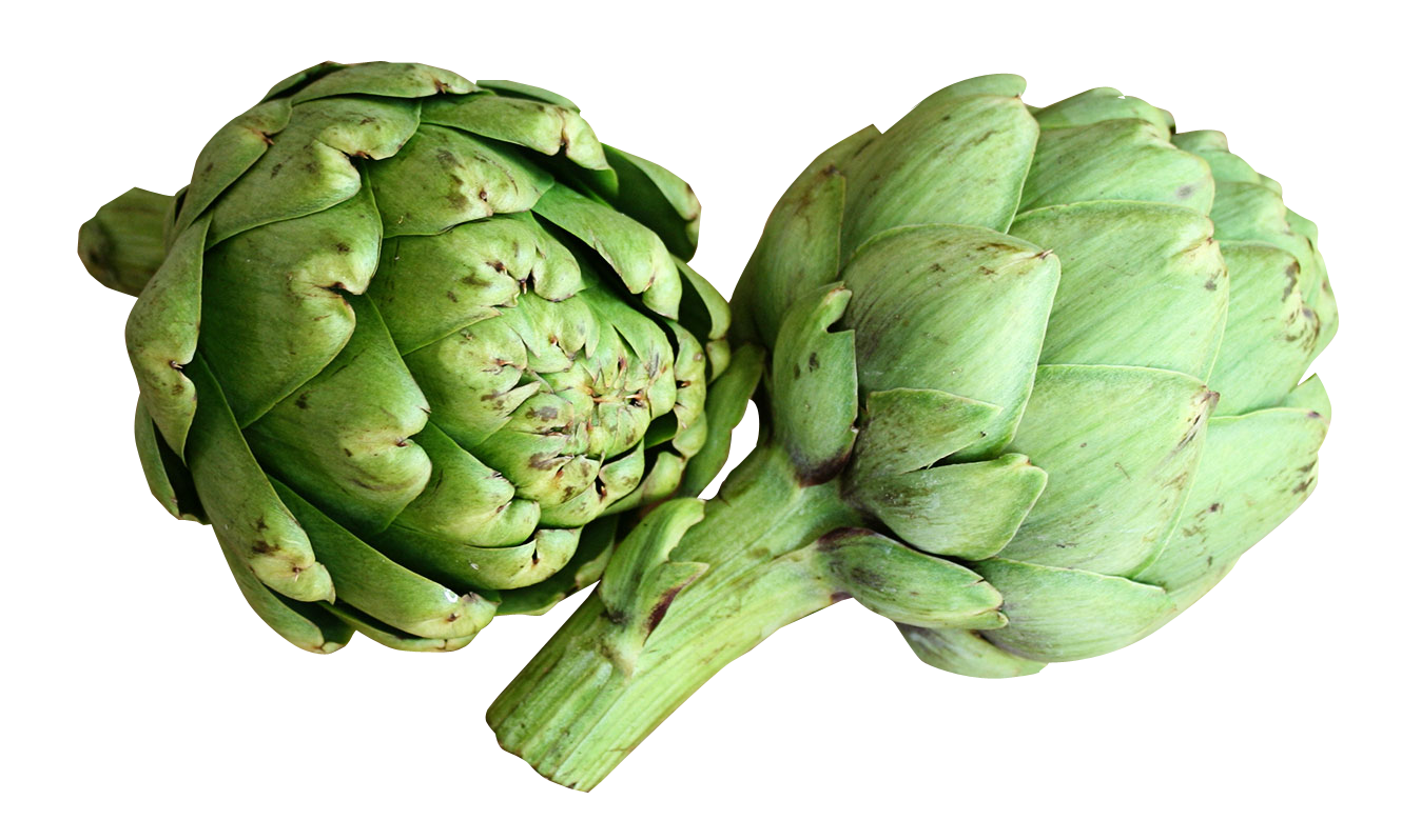 Fresh Artichokes Isolated PNG