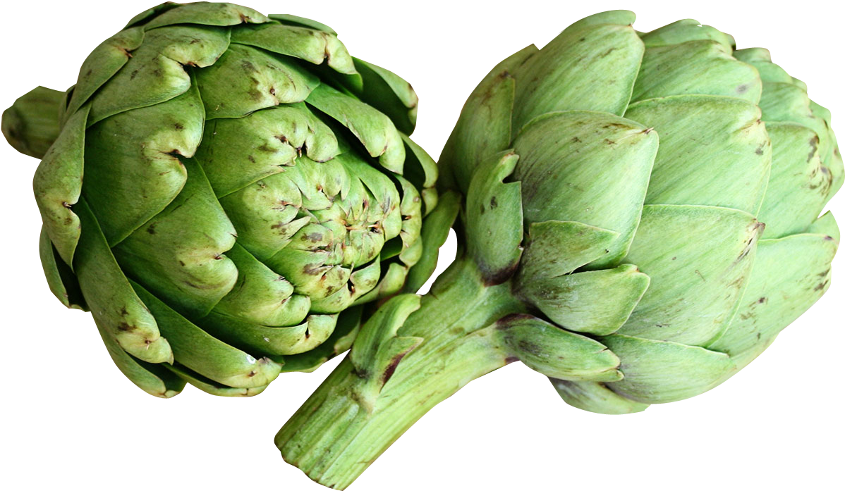 Fresh Artichokes Isolated PNG