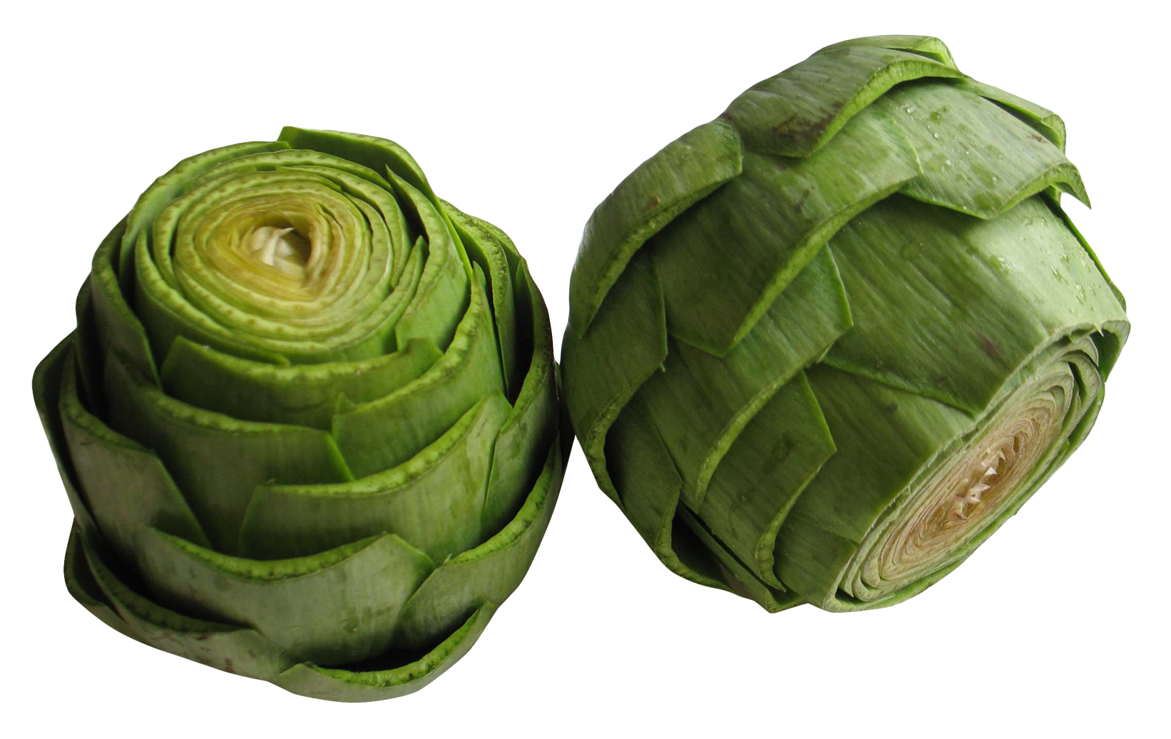 Fresh Artichokes Transparent Background PNG