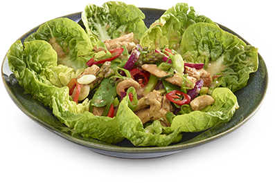 Fresh Asian Chicken Salad PNG