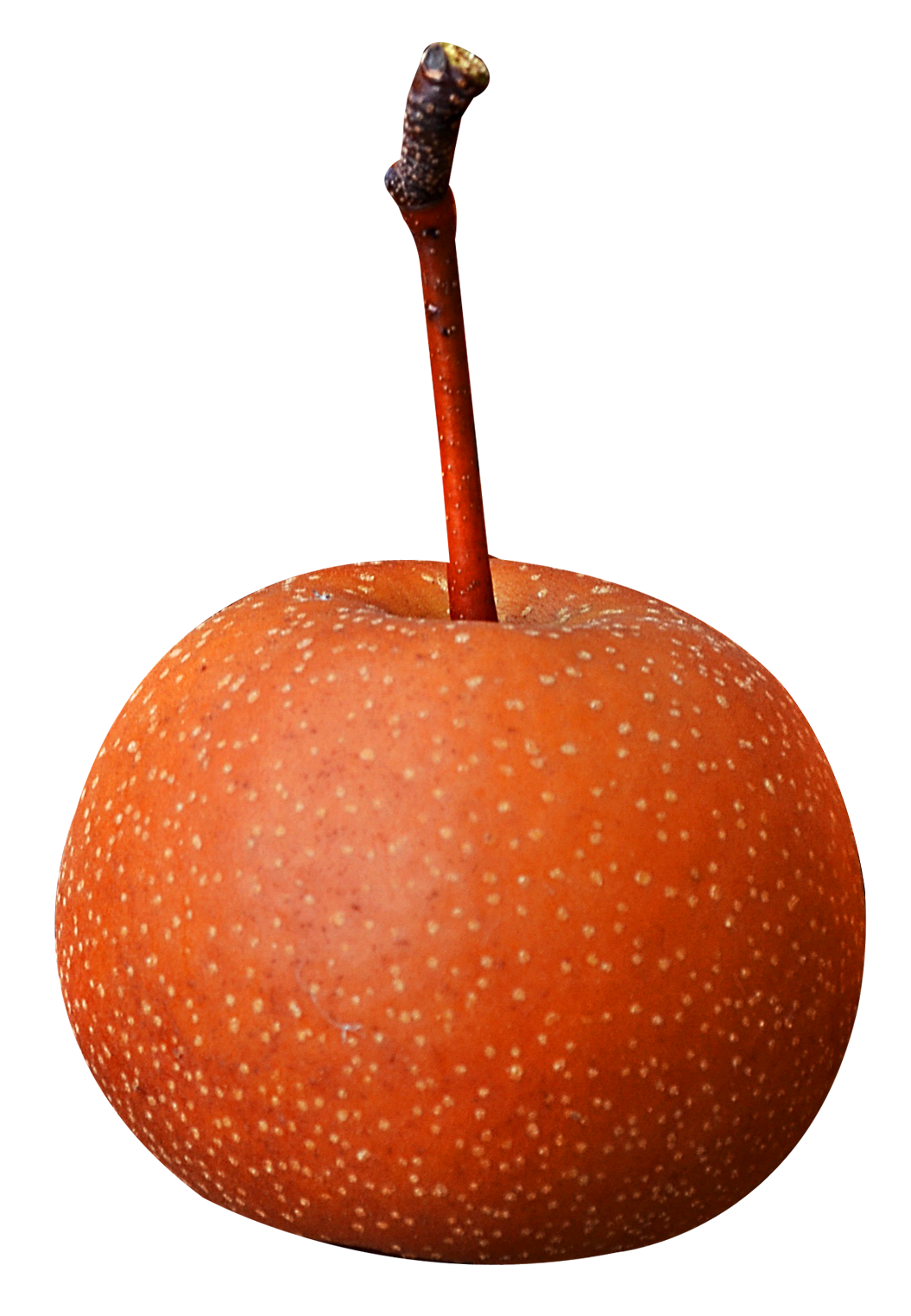 Download Fresh Asian Pear Fruit | Wallpapers.com