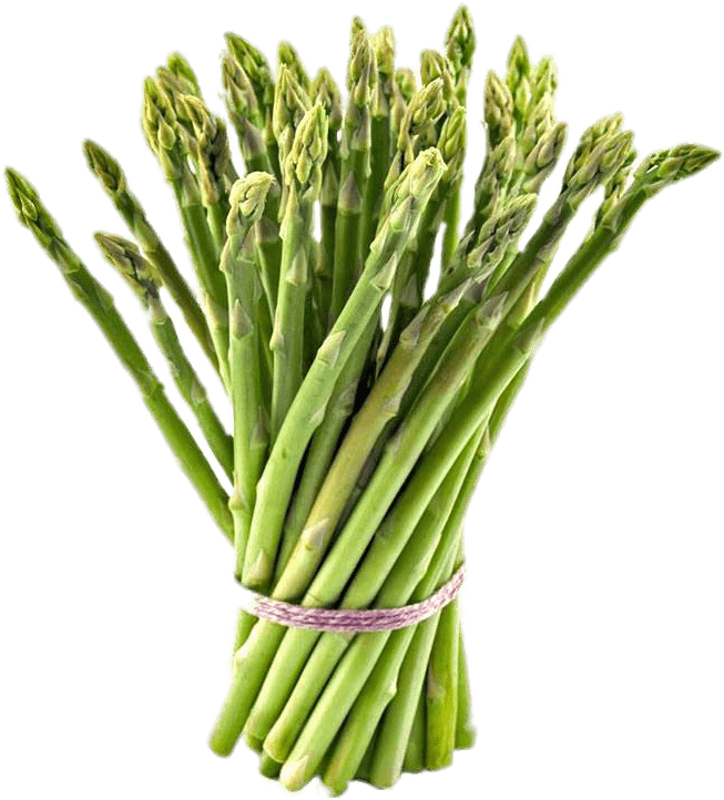 Fresh Asparagus Bunch.png PNG