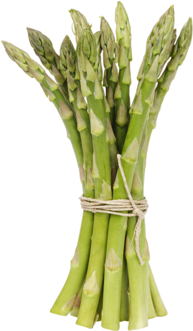 Fresh Asparagus Bunch.png PNG