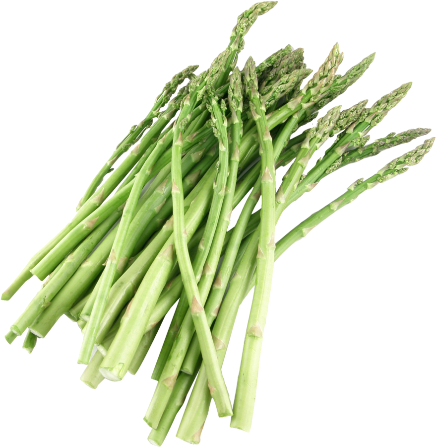 Fresh Asparagus Bunch.png PNG