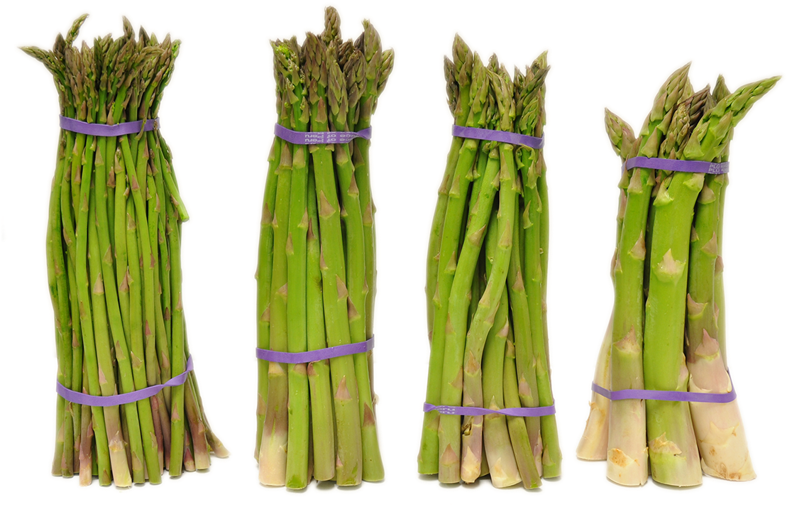 Fresh Asparagus Bunches.png PNG