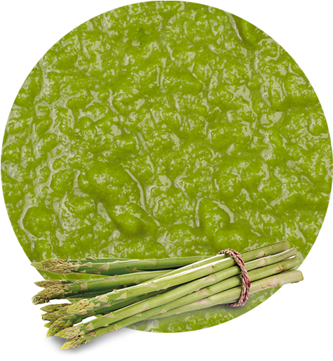Fresh Asparagus Bundle Green Background PNG