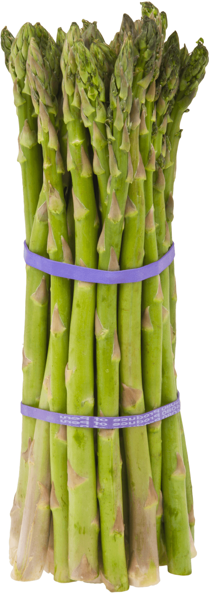 Fresh Asparagus Bundle.png PNG