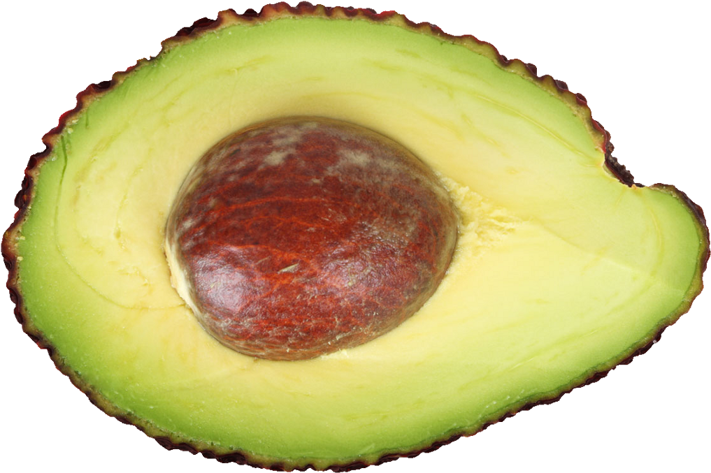 Fresh Avocado Half Seed Visible.png PNG