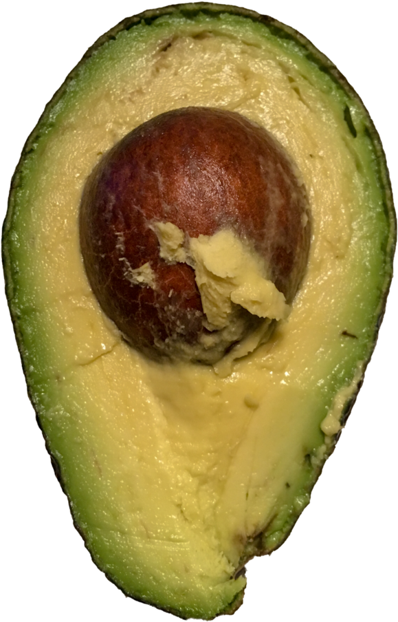 Fresh Avocado Halfwith Pit PNG