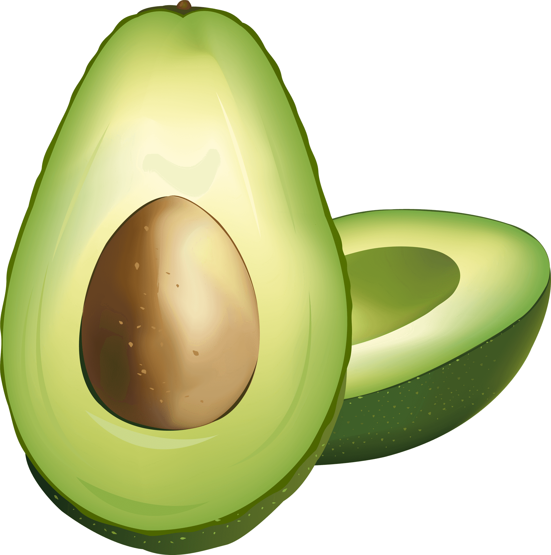 Fresh Avocado Halved Illustration PNG