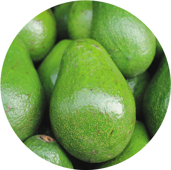 Fresh Avocado Pile Closeup.jpg PNG