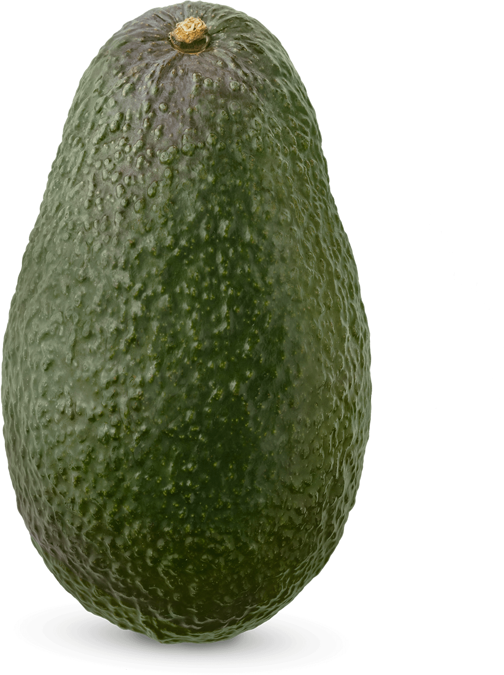 Fresh Avocado Single Fruit PNG