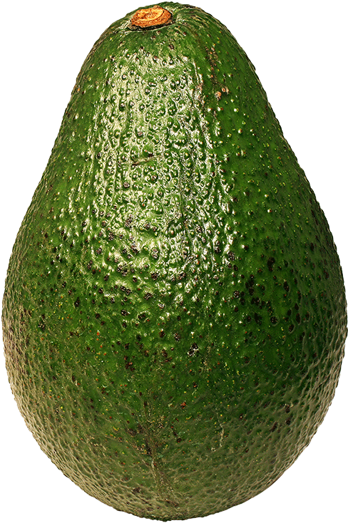 Fresh Avocado Single Fruit PNG