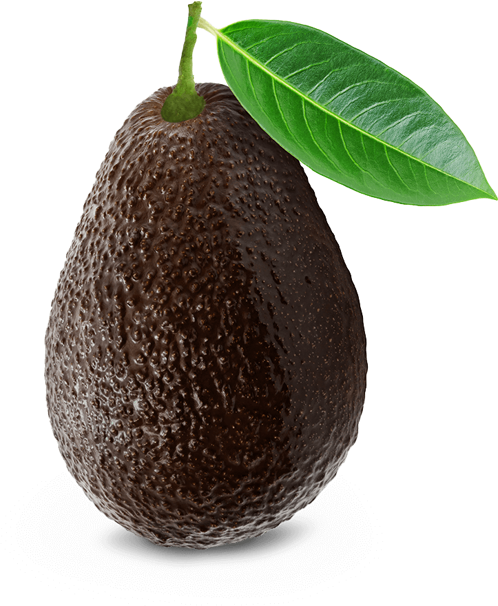 Fresh Avocadowith Leaf PNG