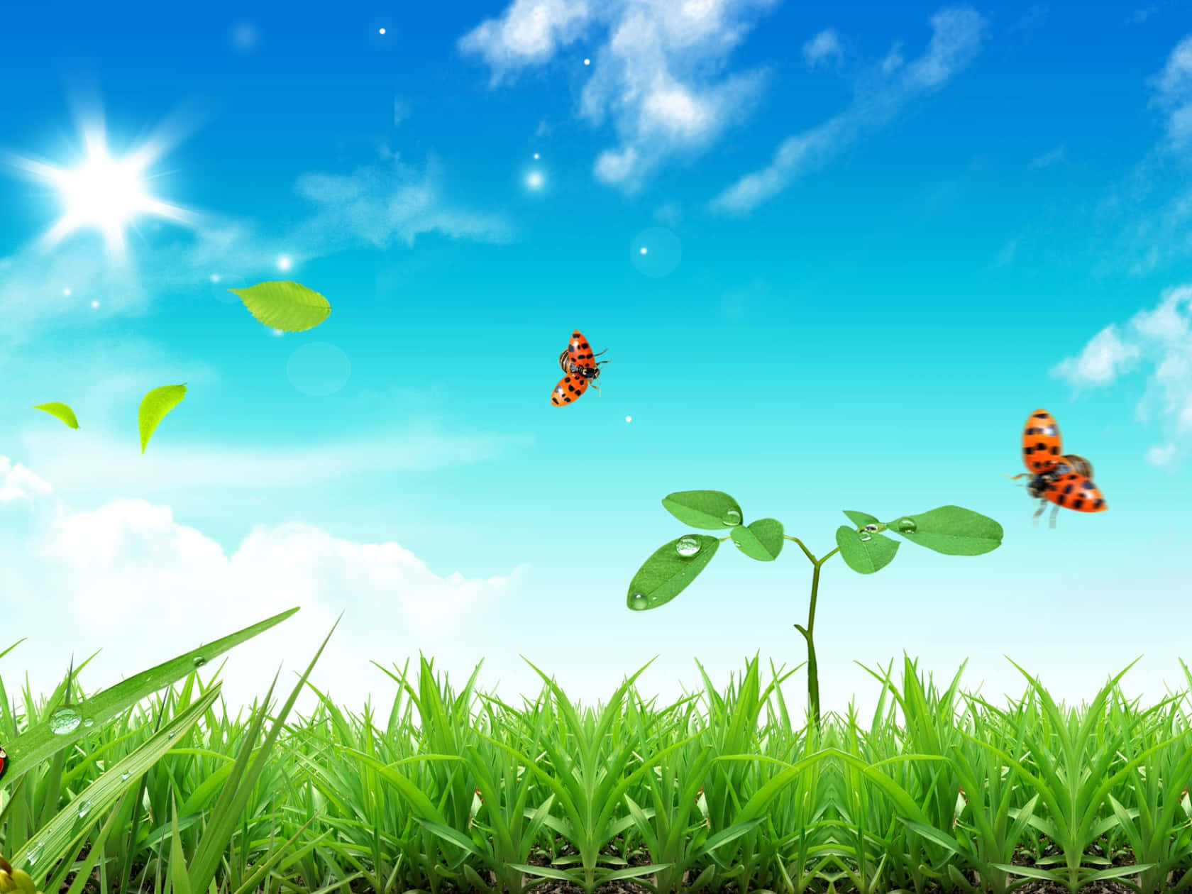 A Grassy Field With Butterflies Flying Around