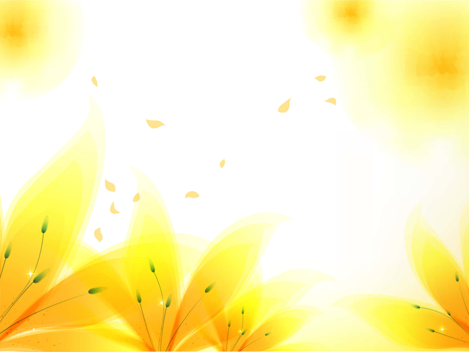 Gelbeblumen Mit Blättern Auf Weißem Hintergrund