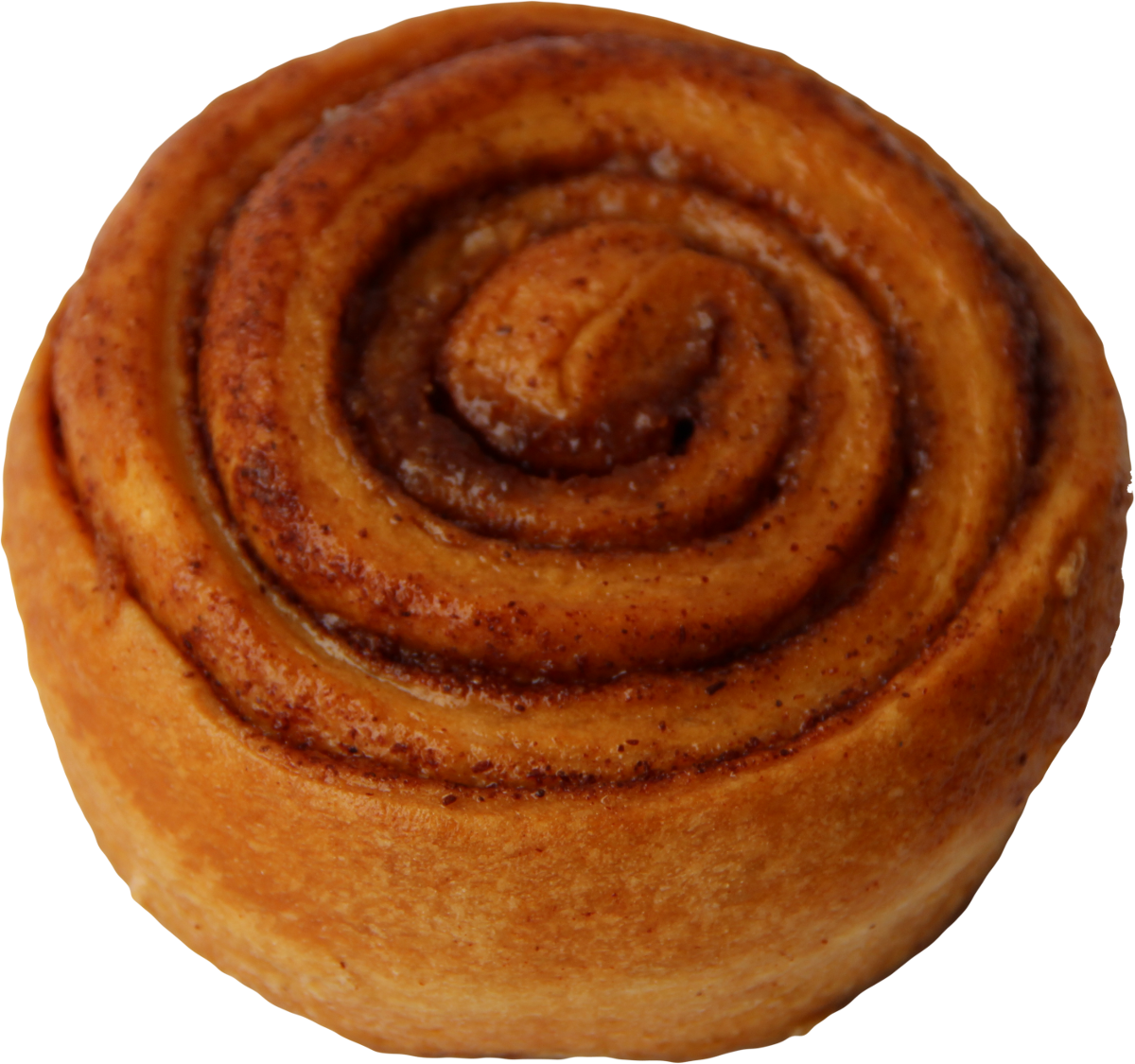 Fresh Baked Cinnamon Roll Isolated PNG