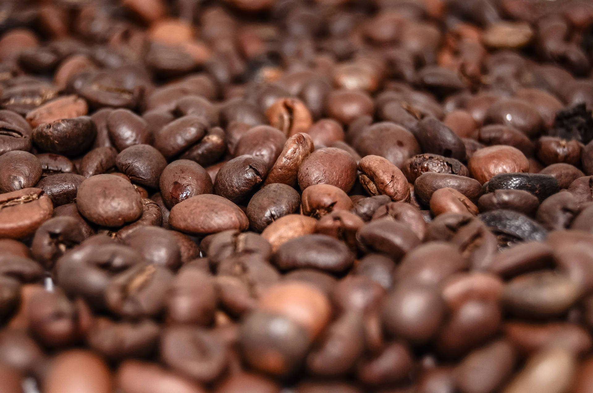 Fresh Batch Of Dark Roast Coffee Beans Background