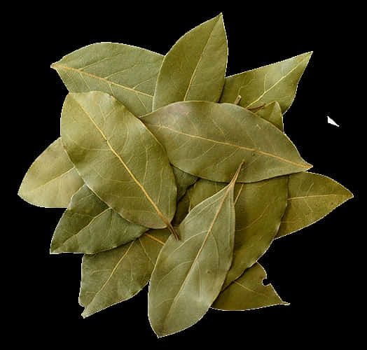 Fresh Bay Leaves Isolatedon Black Background PNG