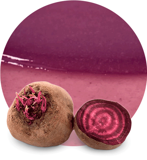 Fresh Beetrootand Half Slice PNG