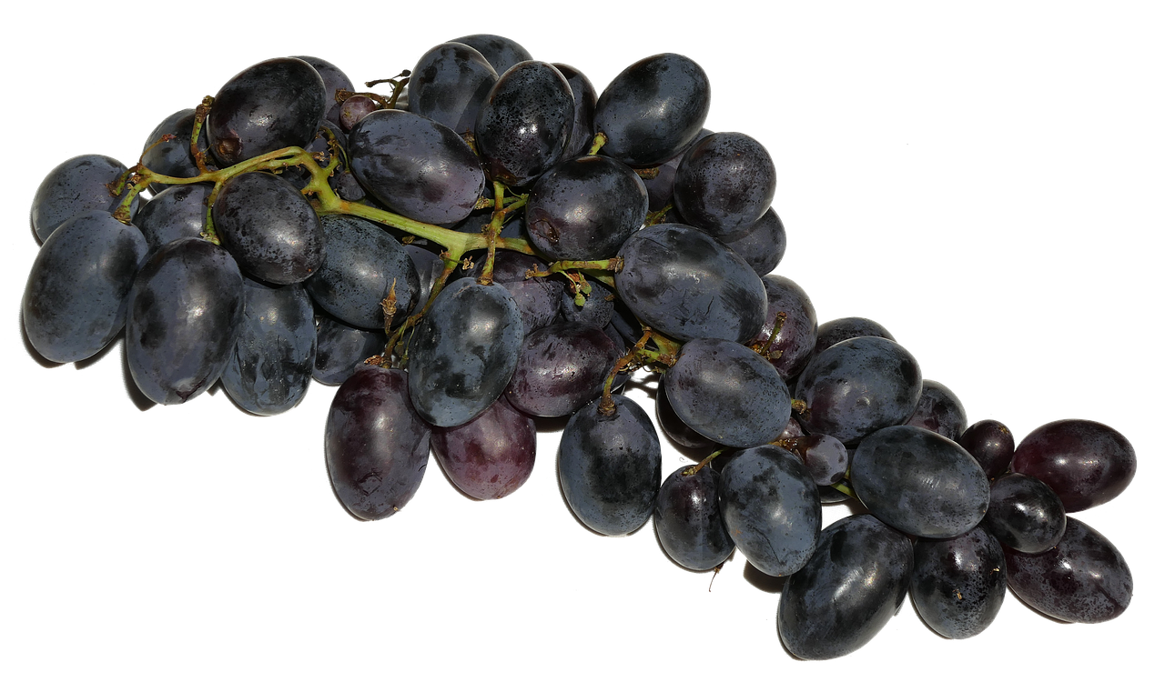 Fresh Black Grapes Cluster.jpg PNG
