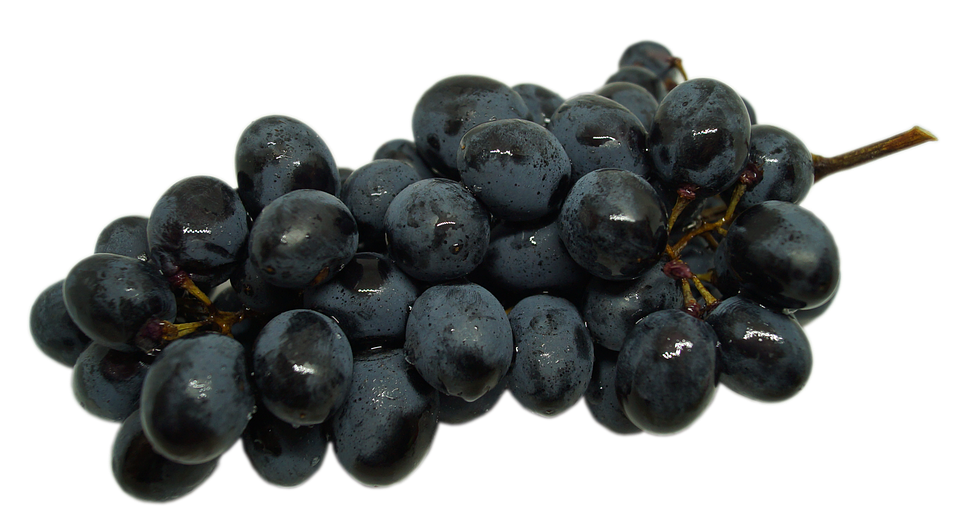 Fresh Black Grapes Cluster.png PNG