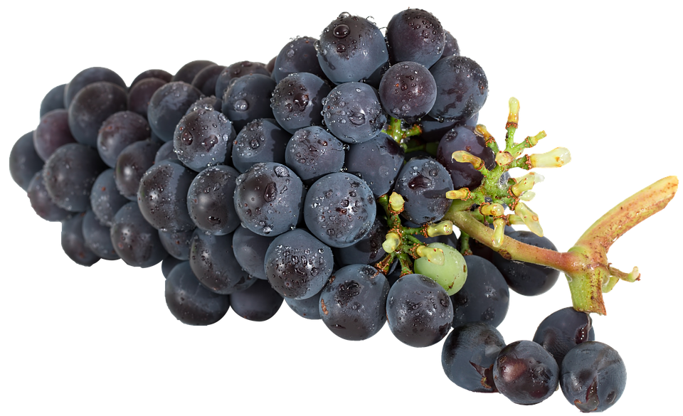 Fresh Black Grapeswith Water Droplets PNG