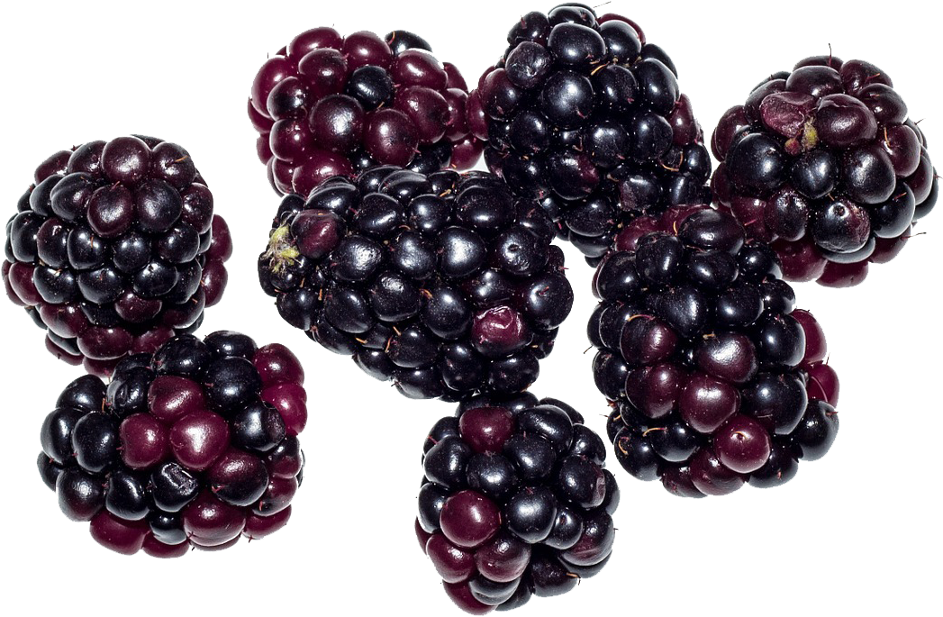 Fresh Blackberries Cluster.png PNG