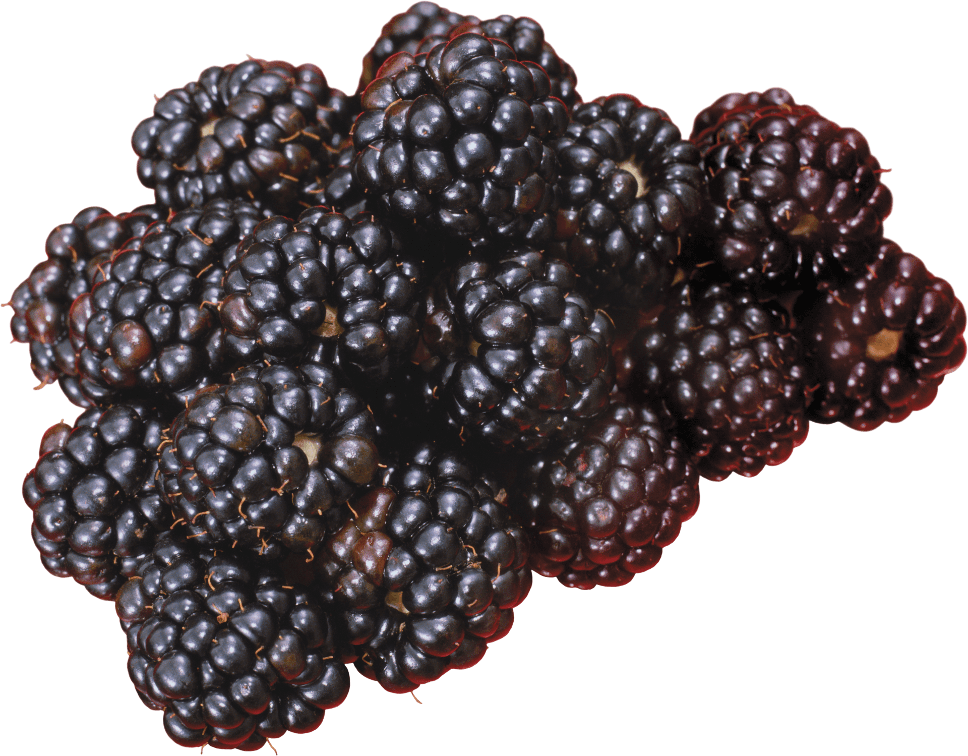 Fresh Blackberries Cluster PNG