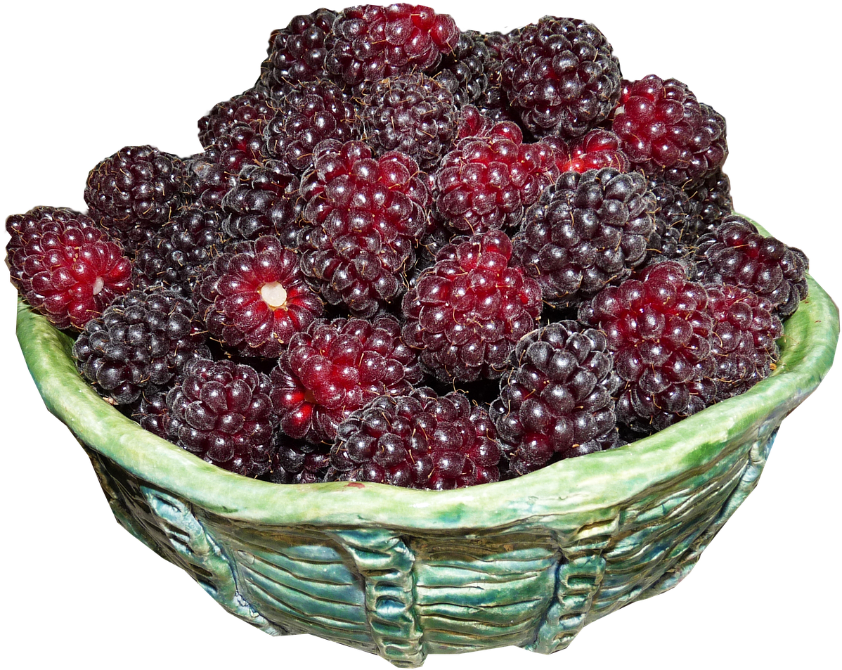 Fresh Blackberriesin Ceramic Bowl PNG