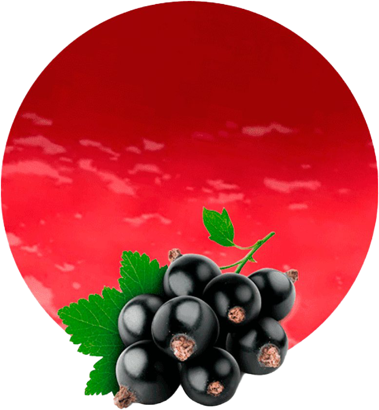 Fresh Blackcurrant Cluster Red Background.png PNG