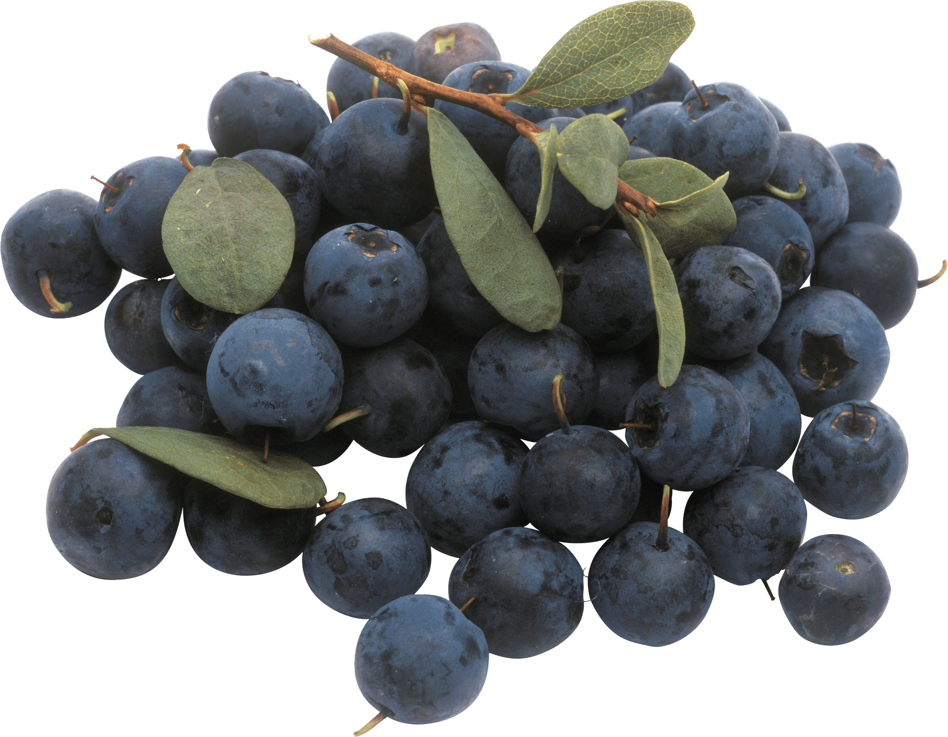 Fresh Blueberries Cluster.png PNG