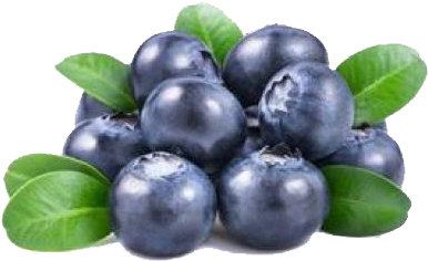 Fresh Blueberries Cluster.png PNG