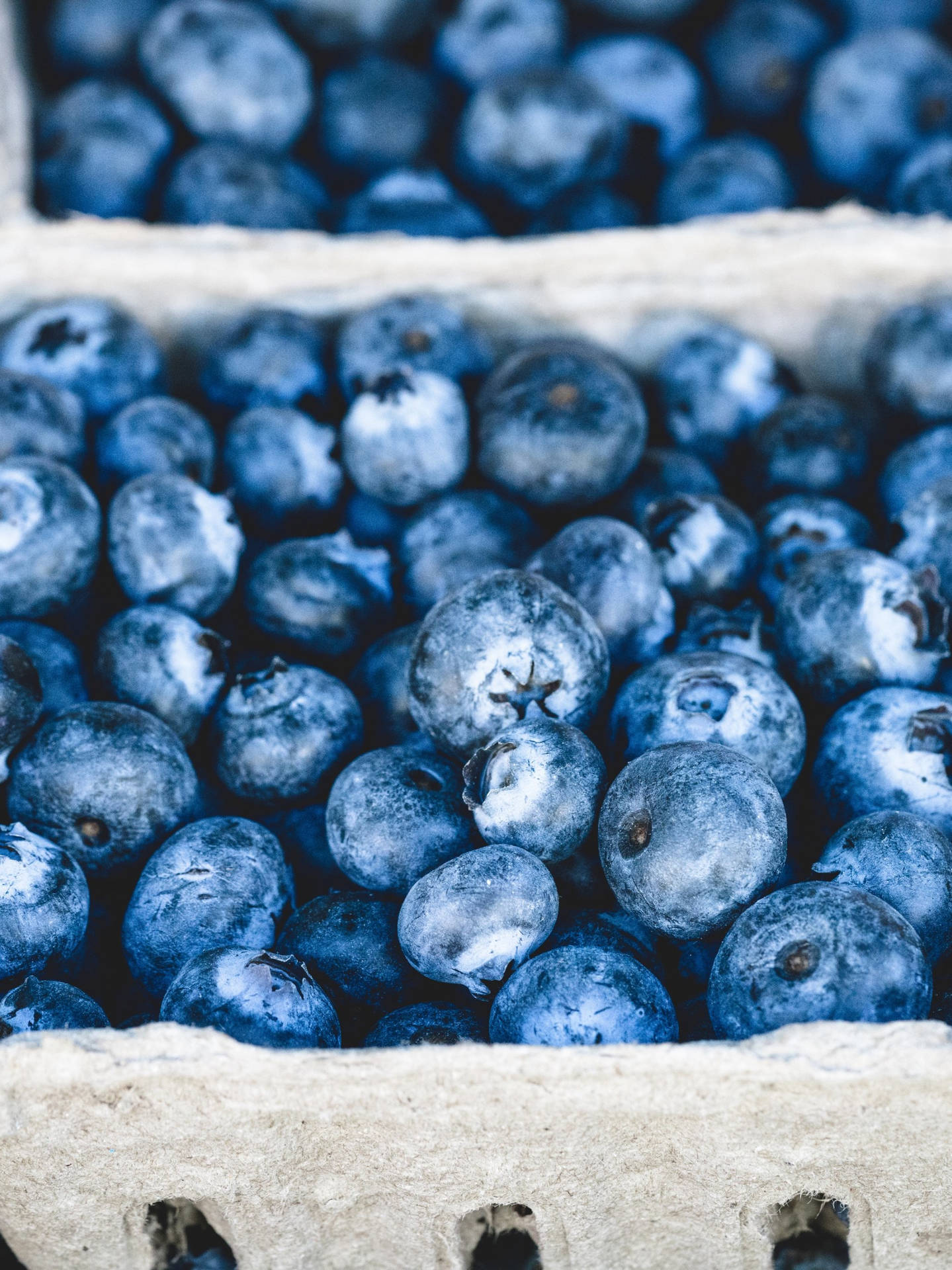Fresh Blueberries Display Background